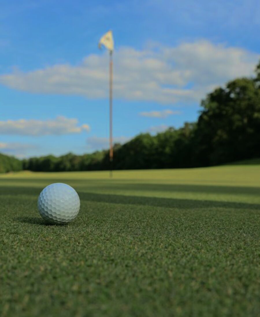 A golf ball resting on the green near the flag
